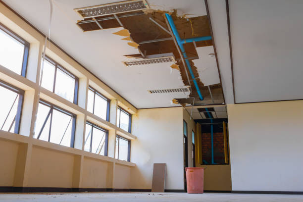 Best Basement water damage restoration  in Hewitt, TX