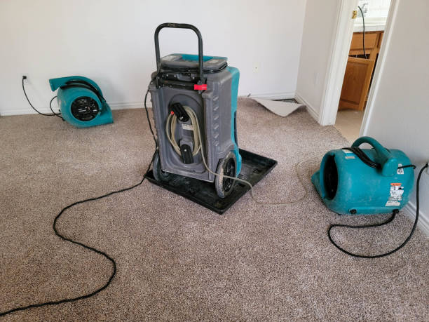 Best Flood damage cleanup  in Hewitt, TX