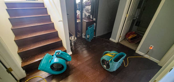 Best Mold removal after water damage  in Hewitt, TX