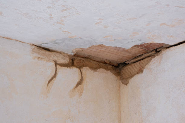 Best 24/7 water damage repair  in Hewitt, TX