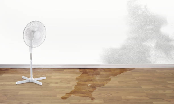 Best Carpet water damage restoration  in Hewitt, TX