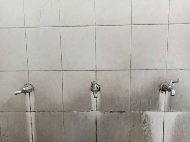 Best Water damage contractors near me  in Hewitt, TX