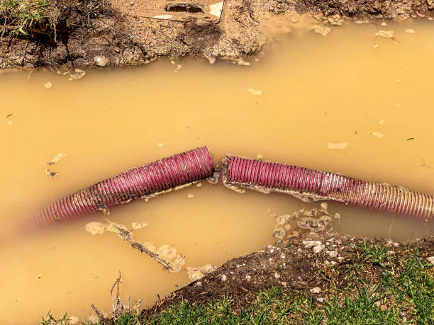 Best Water damage cleanup near me  in Hewitt, TX