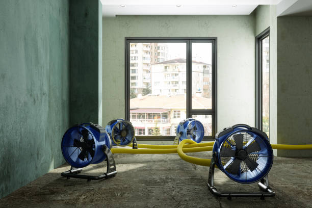 Best Fire Damage Restoration  in Hewitt, TX